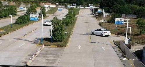 仙游郊尾最新爆料视频,揭秘神秘事件背后的真相